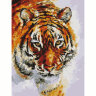 Картина по номерам 40х50 см, ОСТРОВ СОКРОВИЩ "Тигр", на подрамнике, акриловые краски, 3 кисти, 662473