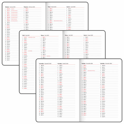 Еженедельник датированный 2025, БОЛЬШОЙ ФОРМАТ, 210х297 мм, А4, BRAUBERG "Favorite", под кожу, синий, 115941