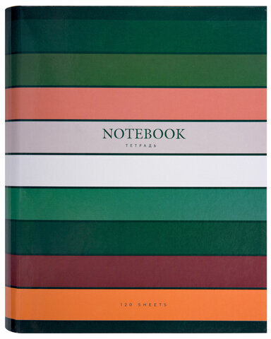 Тетрадь на кольцах А5 175х215 мм, 120 листов, твердый картон, клетка, BRAUBERG, "Classic", 404718