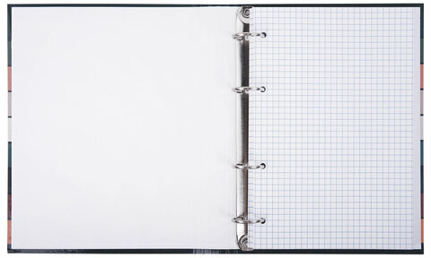 Тетрадь на кольцах А5 175х215 мм, 120 листов, твердый картон, клетка, BRAUBERG, "Classic", 404718