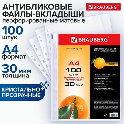 Папки-файлы перфорированные, А4, BRAUBERG, комплект 100 шт., матовые, 30 мкм, 221991