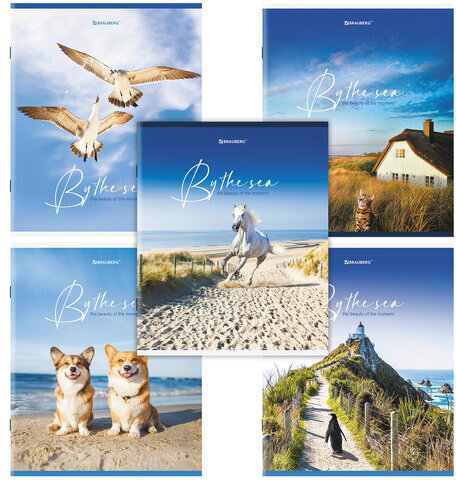 Тетрадь А5, 80 л., BRAUBERG, скоба, клетка, обложка картон, "By the Sea", 404410
