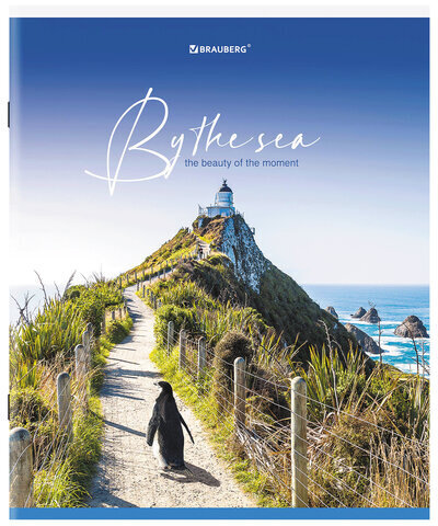 Тетрадь А5, 80 л., BRAUBERG, скоба, клетка, обложка картон, "By the Sea", 404410