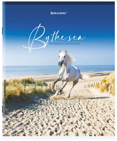 Тетрадь А5, 80 л., BRAUBERG, скоба, клетка, обложка картон, "By the Sea", 404410