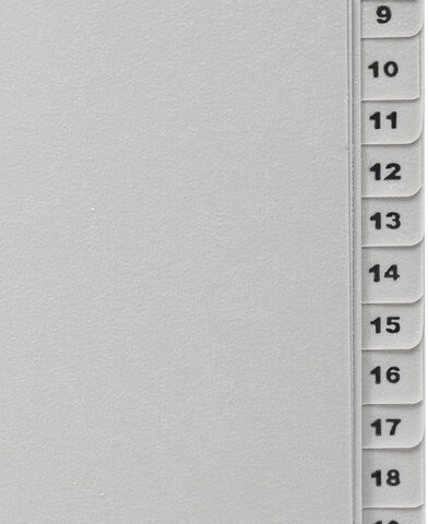 Разделитель пластиковый BRAUBERG, А4, 31 лист, цифровой 1-31, оглавление, серый, РОССИЯ, 225598