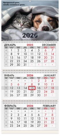 Календарь квартальный на 2026 г., 3 блока, 3 гребня, бегунок, офсет, BRAUBERG, &quot;Домашние любимцы&quot;, 116763