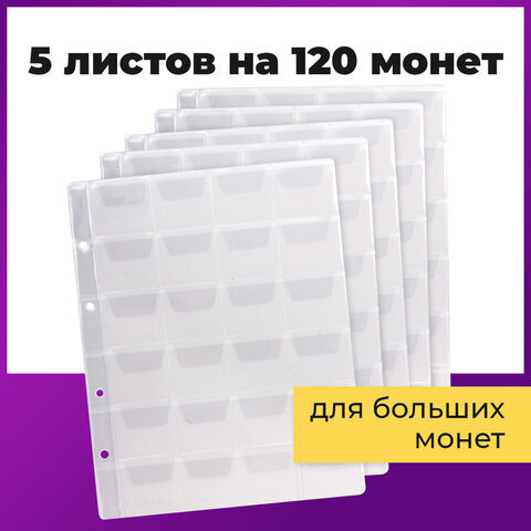 Листы-вкладыши для монет для альбома "Оптима" М9-05, комплект 5 шт., 200х250 мм, 24 кармана, ЛМ-24