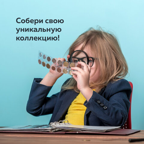 Листы-вкладыши для монет для альбома "Оптима" М9-05, комплект 5 шт., 200х250 мм, 24 кармана, ЛМ-24