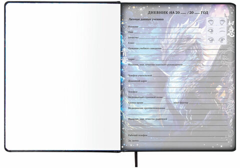 Дневник 1-11 класс 48 л., кожзам (твердая с поролоном), печать, цветной блок, BRAUBERG, "Ниндзя", 106950