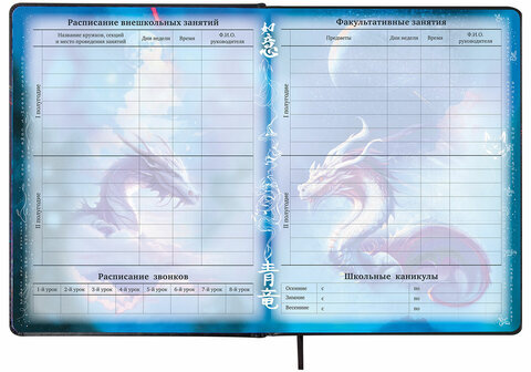 Дневник 1-11 класс 48 л., кожзам (твердая с поролоном), печать, цветной блок, BRAUBERG, "Ниндзя", 106950