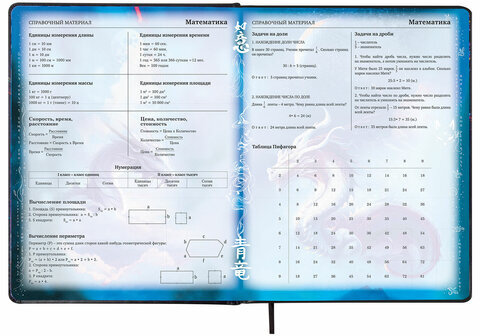 Дневник 1-11 класс 48 л., кожзам (твердая с поролоном), печать, цветной блок, BRAUBERG, "Ниндзя", 106950