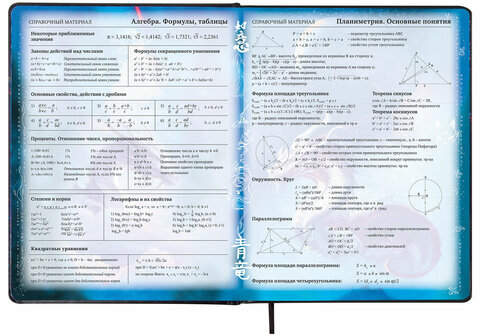 Дневник 1-11 класс 48 л., кожзам (твердая с поролоном), печать, цветной блок, BRAUBERG, "Ниндзя", 106950