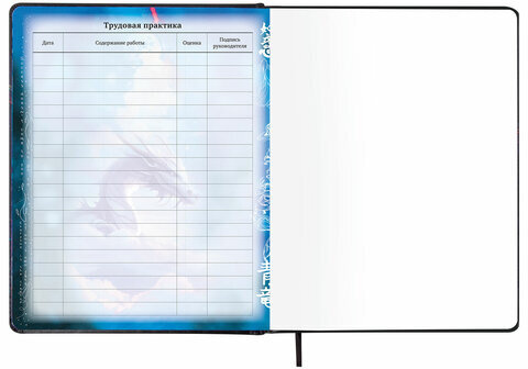 Дневник 1-11 класс 48 л., кожзам (твердая с поролоном), печать, цветной блок, BRAUBERG, "Ниндзя", 106950