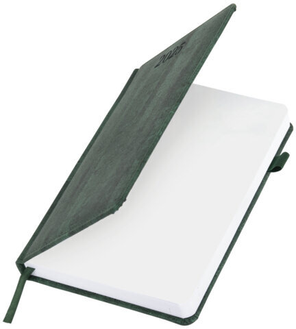 Ежедневник датированный 2025, А5, 138x213 мм, BRAUBERG "Wood", под кожу, держатель для ручки, резинка-фиксатор, зеленый, 115833