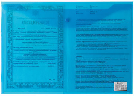 Папка-конверт с кнопкой БОЛЬШОГО ФОРМАТА (305х435 мм), А3, прозрачная, синяя, 0,18 мм, BRAUBERG, 224034