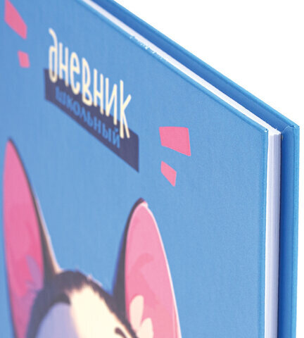 Дневник 1-4 класс 48 л., твердый, ЮНЛАНДИЯ, глянцевая ламинация, с подсказом, "Котик", 107147