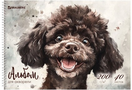 Альбом для акварели А4 40 л., бумага 200 г/м2, гребень, твердая подложка, BRAUBERG, "Пудель", 116885