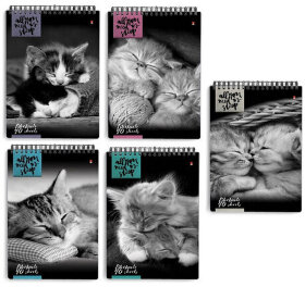 Блокнот А5, 40 л., гребень, ламинированный картон, клетка, Альт, &quot;Кошки&quot;, (5 видов), 3-40-462