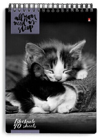 Блокнот А5, 40 л., гребень, ламинированный картон, клетка, Альт, "Кошки", (5 видов), 3-40-462