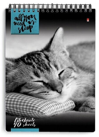 Блокнот А5, 40 л., гребень, ламинированный картон, клетка, Альт, "Кошки", (5 видов), 3-40-462