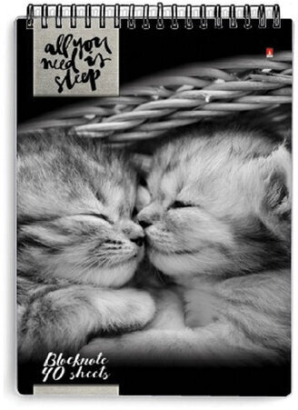 Блокнот А5, 40 л., гребень, ламинированный картон, клетка, Альт, "Кошки", (5 видов), 3-40-462