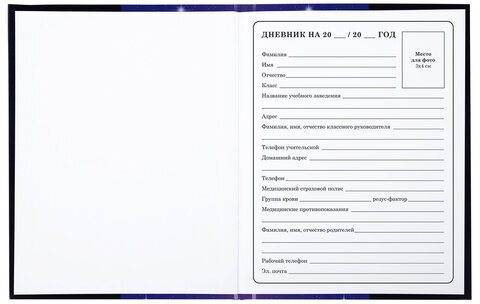 Дневник 1-4 класс 48 л., твердый, BRAUBERG, глянцевая ламинация, с подсказом, "Аниме", 106836