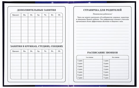 Дневник 1-4 класс 48 л., твердый, BRAUBERG, глянцевая ламинация, с подсказом, "Аниме", 106836