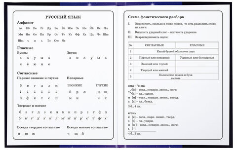 Дневник 1-4 класс 48 л., твердый, BRAUBERG, глянцевая ламинация, с подсказом, "Аниме", 106836