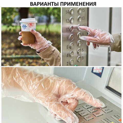 Перчатки полиэтиленовые одноразовые, 50 пар (100 шт.), размер L (большой), 12 микрон, LAIMA, 605025