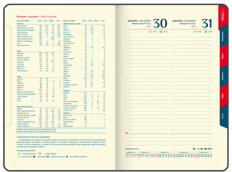 Ежедневник датированный 2025 А5 148х218 мм GALANT "Infinity Silver", под кожу, красный, 115722