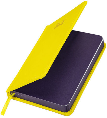 Ежедневник датированный 2024 МАЛЫЙ ФОРМАТ 100х150 мм А6, BRAUBERG "Rainbow", под кожу, желтый, 114790