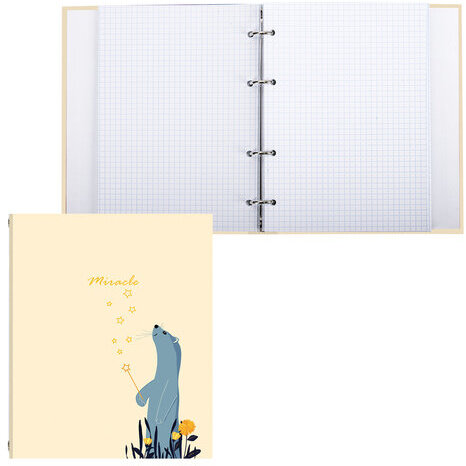 Тетрадь на кольцах А5 (175х215 мм), 240 л., обложка твердый картон, клетка, BRAUBERG, "Miracle", 404093