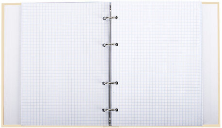 Тетрадь на кольцах А5 (175х215 мм), 240 л., обложка твердый картон, клетка, BRAUBERG, "Miracle", 404093