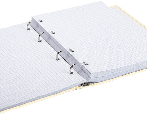 Тетрадь на кольцах А5 (175х215 мм), 240 л., обложка твердый картон, клетка, BRAUBERG, "Miracle", 404093