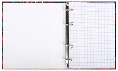 Тетрадь на кольцах А5 175х215 мм, 120 листов, твердый картон, фольга, клетка, BRAUBERG, "Pomegranate", 404720