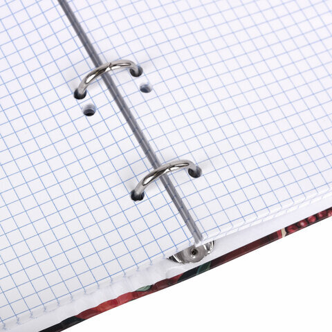 Тетрадь на кольцах А5 175х215 мм, 120 листов, твердый картон, фольга, клетка, BRAUBERG, "Pomegranate", 404720