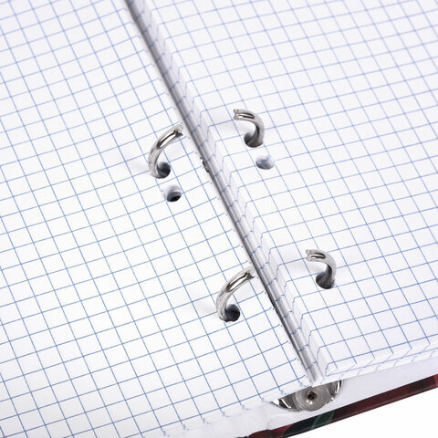 Тетрадь на кольцах А5 175х215 мм, 120 листов, твердый картон, фольга, клетка, BRAUBERG, "Pomegranate", 404720