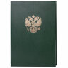 Книга учета 96 л., клетка, твердая, бумвинил, офсет, герб, А4 (200х290 мм), BRAUBERG, зеленая, 130277