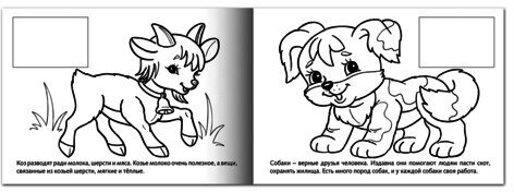 Книжка-раскраска А5, 4 л., HATBER, с наклейками, Мои первые уроки, "Домашние животные", 4Р5н 05824, R133187