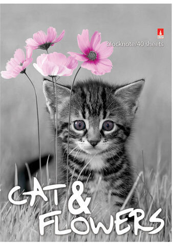 Блокнот А6, 40 л., гребень, ламинированный картон, клетка, Альт, "Котята", (5 видов), 3-40-028