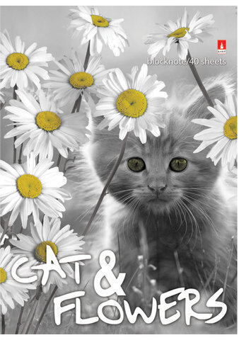 Блокнот А6, 40 л., гребень, ламинированный картон, клетка, Альт, "Котята", (5 видов), 3-40-028