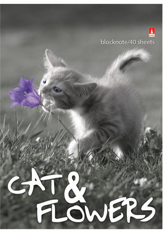 Блокнот А6, 40 л., гребень, ламинированный картон, клетка, Альт, "Котята", (5 видов), 3-40-028