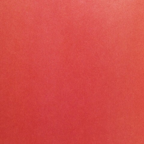 Цветная бумага А4 газетная, 32 листа 8 цветов, на скобе, ПИФАГОР, 200х280 мм, "Белочки", 115485