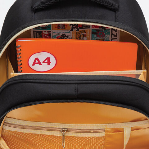 Ранец GRIZZLY анатомическая спинка, c брелоком, для девочек, "NIGHT CAT", 36х28х20 см, RAz-286-1/1