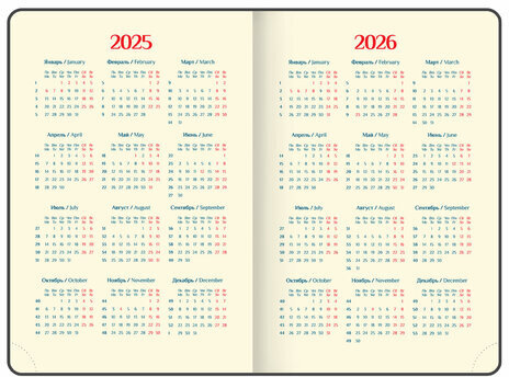 Ежедневник датированный 2025 А5 148х218 мм GALANT "Infinity Silver", под кожу, фиолетовый, 115723