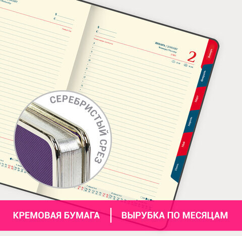 Ежедневник датированный 2025 А5 148х218 мм GALANT "Infinity Silver", под кожу, фиолетовый, 115723