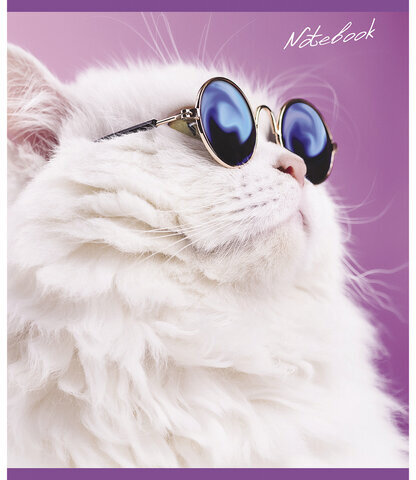 Тетрадь А5, 48 л., ПЗБМ, скоба, клетка, фольга, конгрев, TWIN лак, "КОТ БАЗИЛ" (5 видов), 029211