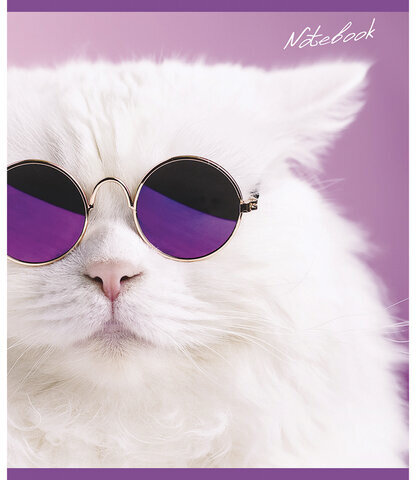 Тетрадь А5, 48 л., ПЗБМ, скоба, клетка, фольга, конгрев, TWIN лак, "КОТ БАЗИЛ" (5 видов), 029211