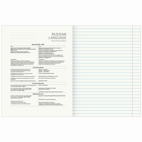 Тетрадь предметная "DELIGHT" 48 л., обложка картон, РУССКИЙ ЯЗЫК, линия, BRAUBERG, 404577