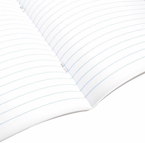 Тетрадь предметная "DELIGHT" 48 л., обложка картон, РУССКИЙ ЯЗЫК, линия, BRAUBERG, 404577